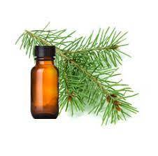 100% pur pin neddle Essentie Oil En Gros En Vrac Essentiel Pin neddle Huile Naturel et Pur pin neddle huile - Product Image 2