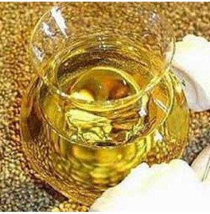 Fabricante Mayorista de Aceite Esencial de Ajowan de Grado Terapéutico a Granel con Buen Precio, Aceite Esencial de Ajowan 100% Puro - Product Image 3