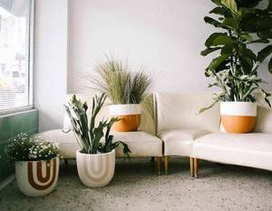 Juego de Macetas de Cerámica con Diseño de Arco Moderno, Duradero, Decorativo para Interiores, Elegante Adorno para el Hogar - Product Image 2