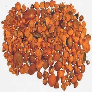 Cálculos biliares de buey a precio de fábrica suministrados a granel para venta minorista y comercio - Product Image 2