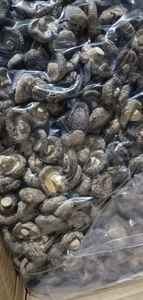 Champignon Shiitake séché de haute qualité du Vietnam avec le prix le moins cher - Product Image 2