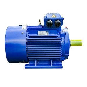 Moteur électrique à courant alternatif triphasé 380V-50hz-60hz moteur électrique à courant alternatif moteur asynchrone avec noyau de cuivre de boîtier en fonte - Product Image 2