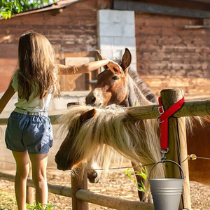 Sangles de fixation réglables pour seaux d'alimentation, filets à foin et mangeoires pour chevaux et bétail, avec crochets, pour paniers d'alimentation et cordes de suspension agricoles - Product Image 5