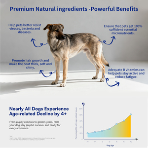 Multivitaminico per cani masticabili-vitamine e integratori per cani con glucosamina - Product Image 2