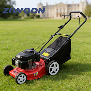 <span class=keywords><strong>Tondeuse</strong></span> à gazon autotractée 21 pouces 196 cm³ à essence 4 temps avec moteur à couple élevé, bac de ramassage 60 L et éjection arrière - Product Image 3