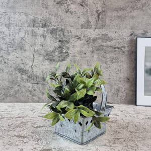 Panier en métal galvanisé avec poignée, mini pot de fleurs rustique pour la décoration de la maison et du jardin, vente en gros - Product Image 6