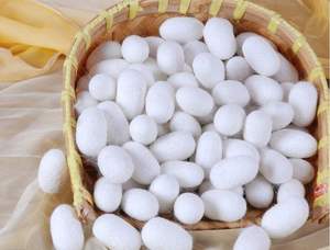 Exfoliantes de capullo de seda de grado premium-Procesados naturalmente y sin tintes, ideales para una limpieza profunda y suavizante de la textura de la piel - Product Image 6