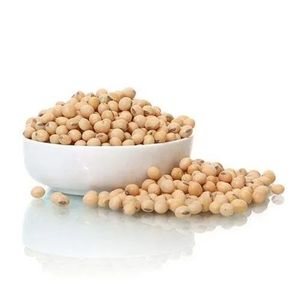 เกษตรถั่วถั่วเหลือง NON GMO โปรตีนถั่วเหลืองสีเหลืองแห้งเมล็ดพืชคุณภาพสูงถั่วเหลืองปากีสถาน