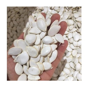 Semillas de calabaza frescas de alta calidad, color blanco nieve - Product Image 5