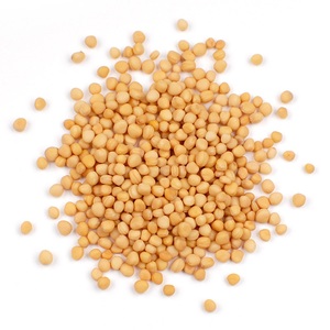 Graines de moutarde déshydratées de haute qualité - Product Image 6