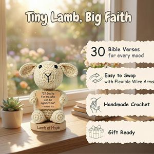 Cadeaux chrétiens pour hommes et femmes : 30 cartes de prière avec des versets bibliques puissants |   Soutien émotionnel, encouragement et cadeaux catholiques - Product Image 1