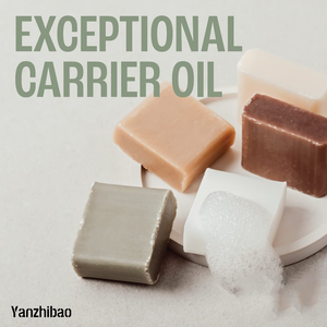 OEM有機分別ココナッツオイル-ホワイトニング & スキンケア血清、レチノール用リーブインコンディショナー - Product Image 4