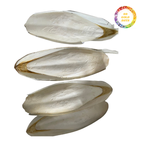 Os de seiche séché au soleil du Vietnam pour usage industriel Accessoires de cage à oiseaux Artisanat fait à la main et additif de sol de jardin - Product Image 6