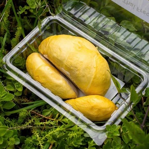 ทุเรียนแช่แข็งคุณภาพเยี่ยมจากเวียดนาม รสหวาน แช่แข็งแบบ IQF ในถุงสุญญากาศ - Product Image 1