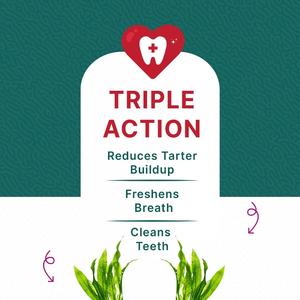 Eco-Friendly All-Natural Organic Grain-Free Soft Chews Preservative-Free Oral Hygiene Treats <b>Dogs</b> Pet Health Care Supplement - Product Image 6