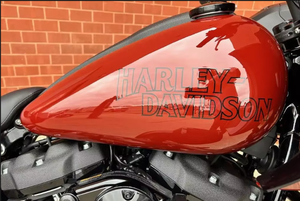 Motocicleta Cruiser Harley-Davidson Softail FXLRST - Low Rider ST 2025 Lista para Usar, en Venta - Product Image 2