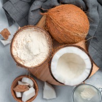 Meilleure vente de poudre de noix de coco saine farine de coco prix bon marché pour la fabrication de boissons d'eau de lait de noix de coco du Vietnam