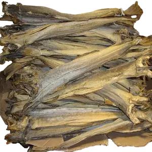 越南汤姆优质干鳕鱼皮产品价格优惠