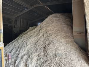 Rasage de bois du Vietnam de qualité supérieure à l'exportation bon prix rasage de bois du Vietnam - Product Image 5