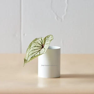 Vente chaude Métal Populaire Fleur Vase À La Main Cylindre Forme Blanc Vase Floral pour La Maison Salon Vaisselle Décor - Product Image 1