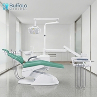 Fauteuil dentaire électrique en métal Buffalo avec appui-tête réglable et design confortable pour les cliniques hospitalières de stomatologie