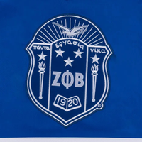 Maillot de hockey sur glace vintage Zeta Phi Beta pour femme, sororité grecque, manches longues, imprimé, respirant, 100 % coton, personnalisé, été