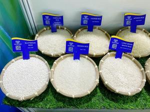 น้ำหอมพรีเมี่ยมข้าวเมล็ดยาวดอกมะลิข้าวขาวหอมส่งออกมาตรฐาน1กก. 5กก. 15กก. 20กก. | oo8498'359o9o8 | W ZAP - Product Image 5