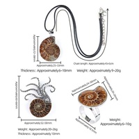 Collier pendentif en fossile d'ammonite naturelle, style vintage unisexe, bijoux de plage uniques, cadeau pour femmes et hommes