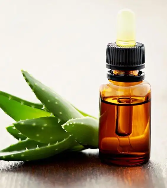 Großhandel Eigenmarke Trägeröl Aloe vera Öl für Haut pharmazeutische Verwendung organisches Ätherisches Öl 100 % natürlich