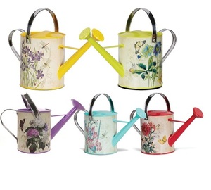 Arrosoir de luxe en métal galvanisé MOON STAR EXPORTS AM 9876 – Durable, écologique, capacité personnalisée, logo de jardin vintage créatif - Product Image 4