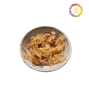 Musgo salvaje del mar de Irlanda de alta calidad sin sal recolectado directamente de Vietnam - Product Image 3