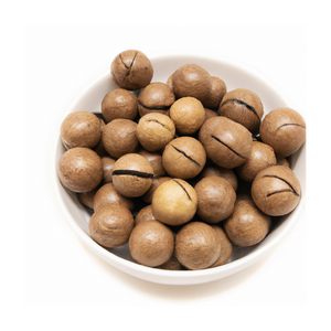 Vente en gros de noix de macadamia, approvisionnement en vrac, prix bon marché, noix fraîches décortiquées et non décortiquées - Product Image 3