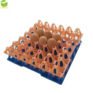 Plastic package 30 holes egg tray factory egg tray for storage and transport