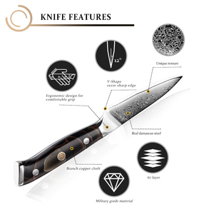 Venta al por mayor personalizado de acero inoxidable de alto carbono cuchillo de Chef de acero damasco cocina fruta pelar cuchillo de pelar Venta de alta calidad - Product Image 5