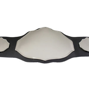 Cinturón de Lucha Libre Personalizado en Oferta, Cinturones de Campeonato Populares 2026 - Product Image 6