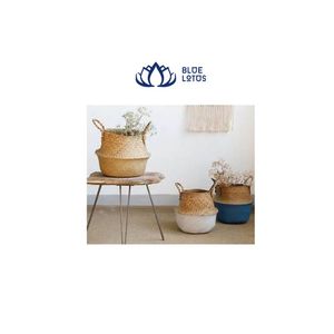 GEM Exporting with Best Price <b>for</b> Rattan <b>Basket</b> Decor <b>Plant</b> Tree - Product Image 2