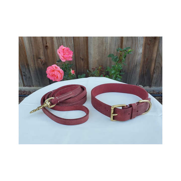 Collare Per Cane Con Rivetti E Guinzaglio - Regolabile, In Pelle Con Borchie Anti-Morso - Foto 10