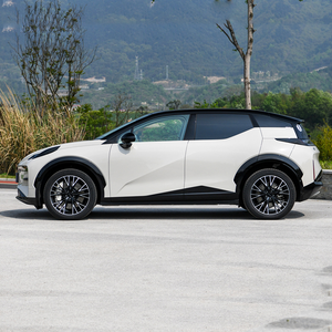 SUV Eléctrico Compacto de Lujo 2025 con Volante a la Izquierda, Vehículo Inteligente con Gran Autonomía y Carga Rápida - Product Image 6