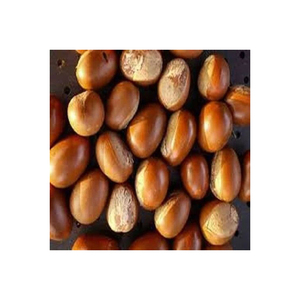 Nueces de Karité Blanqueadas Naturales de Primera Calidad, Empaque de 50 kg, Origen Reino Unido, Servicio ODM/OEM para Extracción Comercial y Compradores Globales - Product Image 3