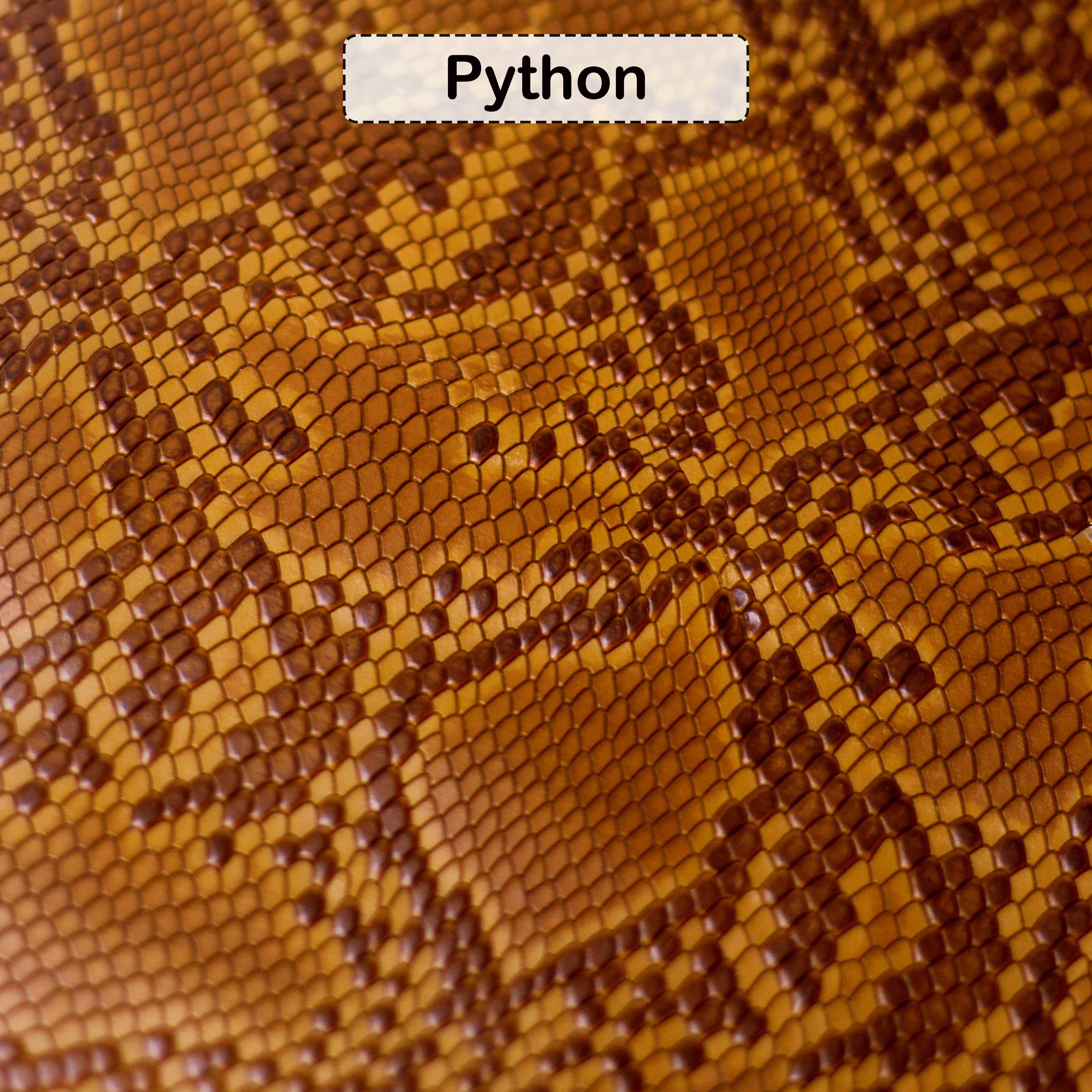 Python