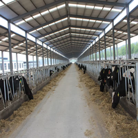 Conception moderne Construction à construction rapide Structure en acier Chèvre Mouton Maison Cadre en métal Hangar à vaches Construction de ferme d'élevage