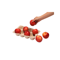Vers Fruit Dienblad Verpakking Gegoten Bio Afbreekbaar Composteerbaar Pulp Lade Op Maat Voor Fruit Vriendelijke Fabrikant Beste Prijs
