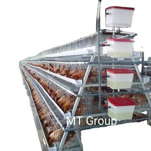ขายส่งจากโรงงาน ระบบกรงไก่ไข่แบบใหม่ ชนิด A ทำจากเหล็กชุบสังกะสี พร้อมระบบอัตโนมัติสำหรับวางไข่ - Product Image 1