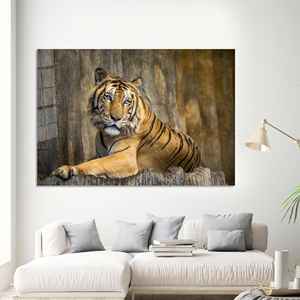 Superbe œuvre d'art sur toile imprimée : Scène d'animaux sauvages pour la décoration de la grotte de l'homme, ART SUR VERRE TÉRMÉRISÉ - Product Image 1