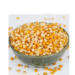 Maíz amarillo y maíz blanco para alimentación humana y animal al por mayor - Product Image 5