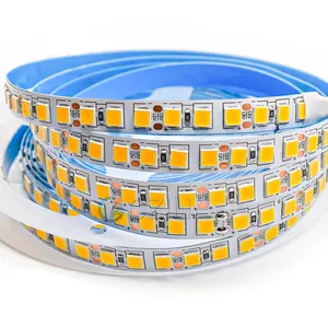 9.5mm Cinta Light 120 Led Metro Emerald Green Red Golden Blue Green Purple Naturally Warm Cool White Smd 5054 Led Strip 12V