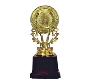 Trofeo de Metal para Campeonato de Cricket, Premio, Obsequio Conmemorativo para el Ganador de Torneos Deportivos, Exhibición y Presentación - Product Image 3