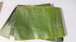 Hoja-100% Natural-Hoja/hojas de plátano congeladas-PARA Paquete de embalaje de supermercado de 99 DATOS DE ORO - Product Image 2