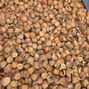 Natural <b>Coconut</b> Shell Halves Whole Shape Eco-Friendly <b>Candle</b> Holder Agricultural Waste 100% <b>Coconut</b> Shell High Quality GIA GIA - Product Image 3