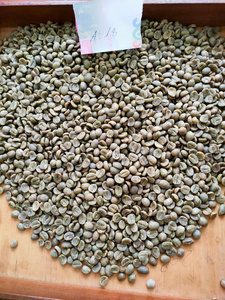 Meilleur prix grains de café Robusta sélectionnés goût amer riche adapté aux fabricants de café - Product Image 4